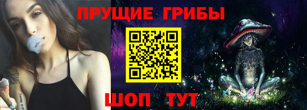 Сунжа  Псилоцибиновые грибы Magic Shrooms  Вход с VPN 