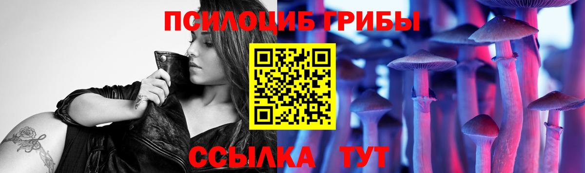 Псилоцибиновые грибы Psilocybe Сунжа