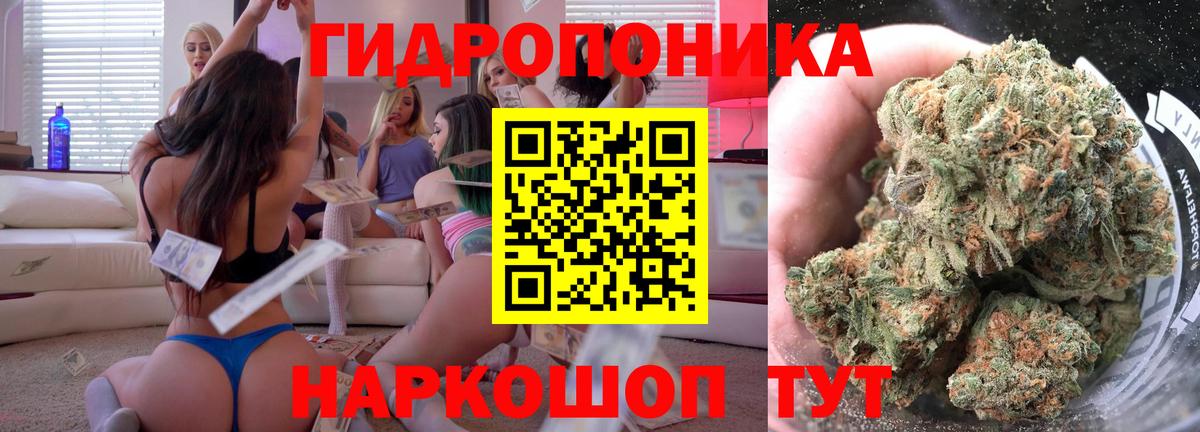 Каннабис Bruce Banner  Каннабис конопля  Сунжа  Бошки марихуана план  Вход с VPN 